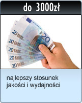 Jaki do 3000 zł